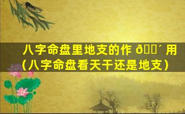 八字命盘里地支的作 🌴 用（八字命盘看天干还是地支）